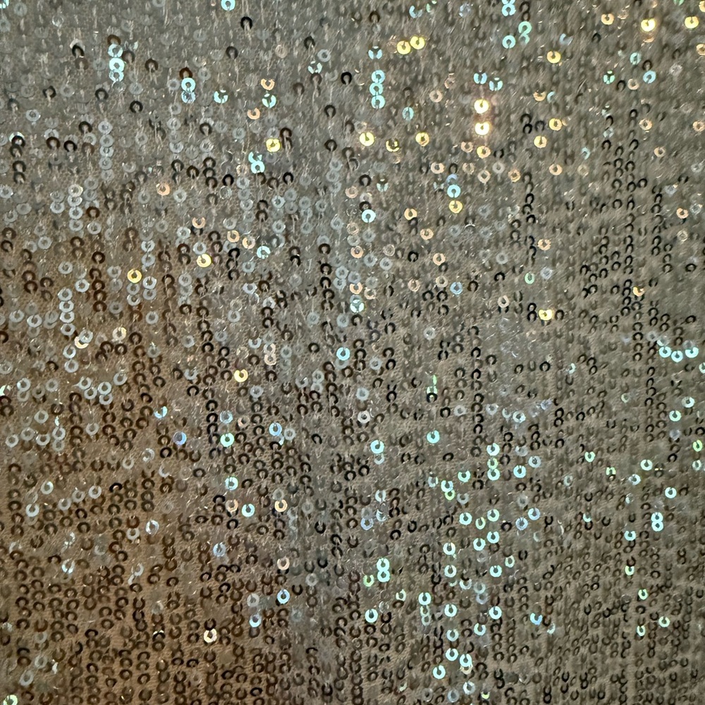 Starling Elegant Silver Sequin Dress - Picture 4 of 6